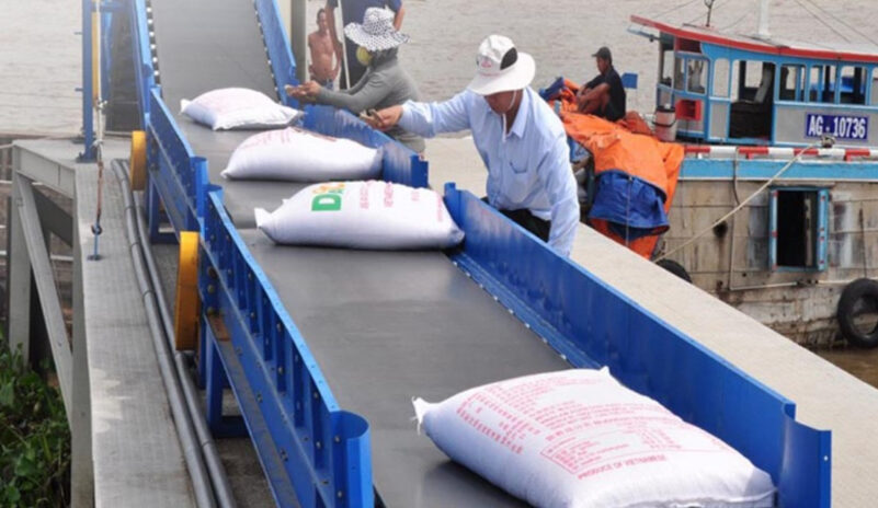 Băng tải lúa là thiết bị dùng để vận chuyển lúa gạo hoặc các loại ngũ cốc