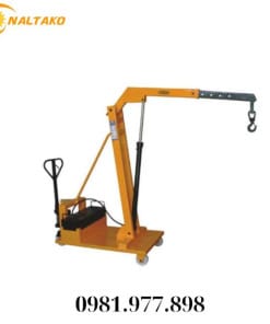 cẩu mini tự chế thủy lực điện