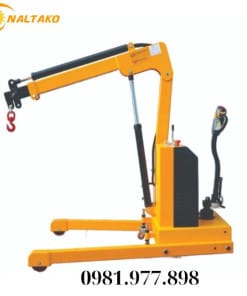 cẩu hàng mini bằng điện