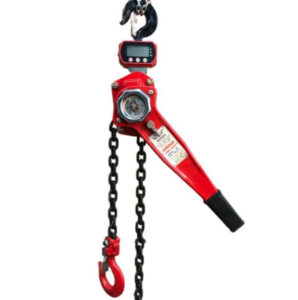 Cho thuê ba lăng xích