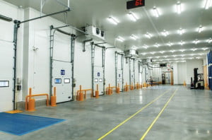 Dock Leveler kho lạnh