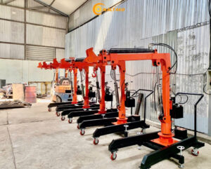 Naltako bàn giao 5 cẩu mini tại Hưng Yên