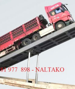 Stationary Dumping Lift Table 2