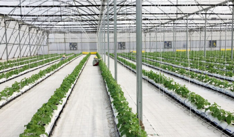 Tác độg của cách mạng công nghiệp 4.0 hiện nay chuyển đổi sản xuất truyền thống sang kinh tế tri thức