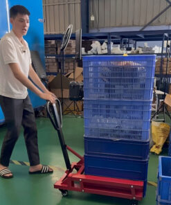 Xe đẩy giỏ nhựa đang là sự lựa chọn của nhiều kho bãi, trung tâm logistics...