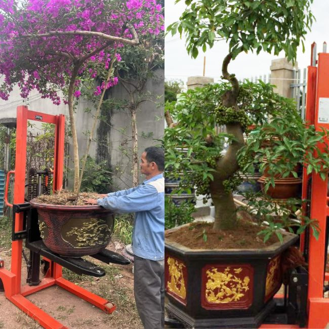 Một số hướng dẫn lựa chọn mua xe nâng chậu phù hợp với nhu cầu