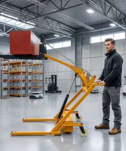Xe nâng tay càng cua 300kg 